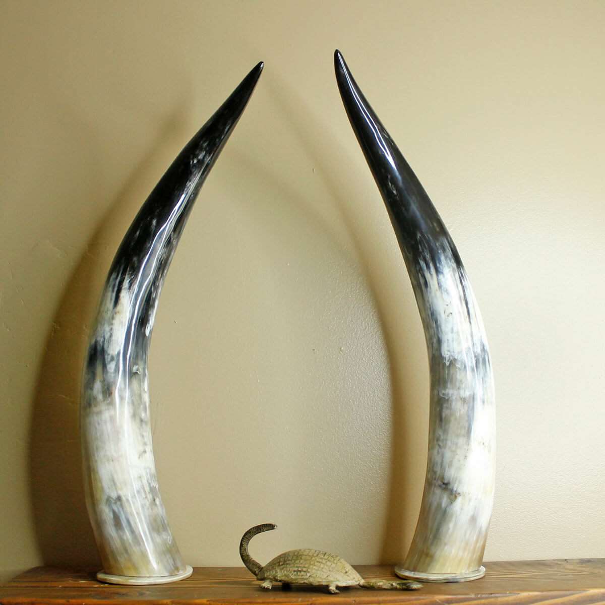 Set of 2 Horns 21"